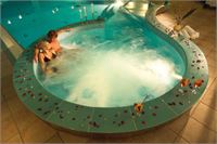  © Berglandhotel Homepage