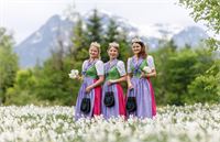  &copy; (c) Martin Huber