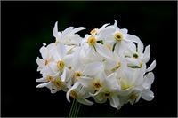  &copy; (c) Martin Huber